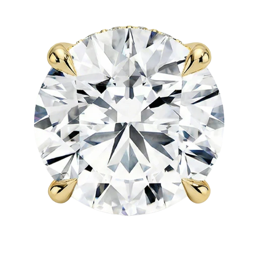 Claw