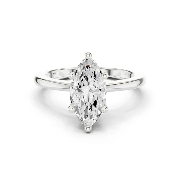 Marquise